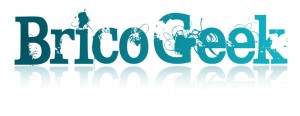 logo-bricogeek (1)